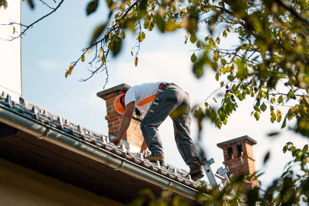 Best Roof Maintenance Services  in Beecher, MI