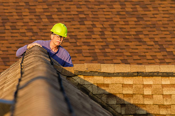 Best Roof Gutter Cleaning  in Beecher, MI