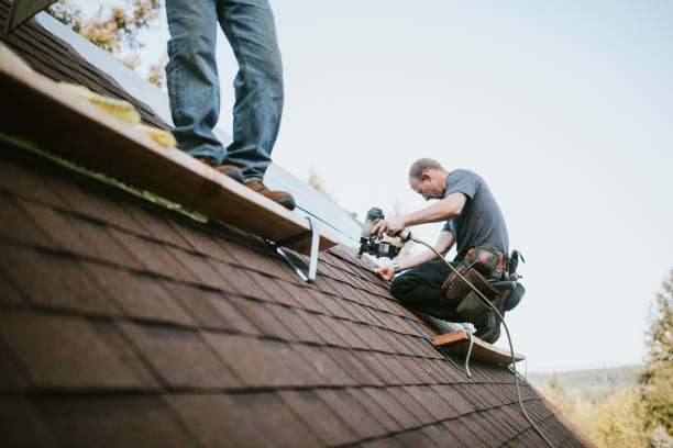 Best Residential Roofing Contractor  in Beecher, MI