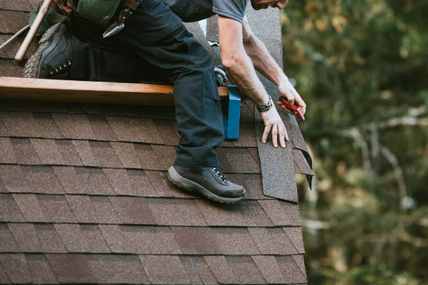 Best Storm Damage Roof Repair  in Beecher, MI